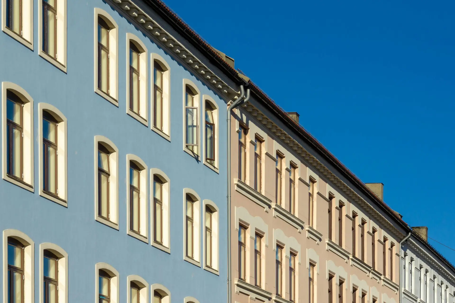 pexels vlado paunovic 1567547 27067653